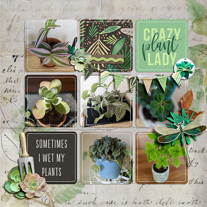 Crazy plant lady
