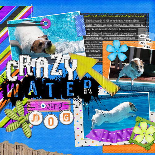 Crazy Water Dog
