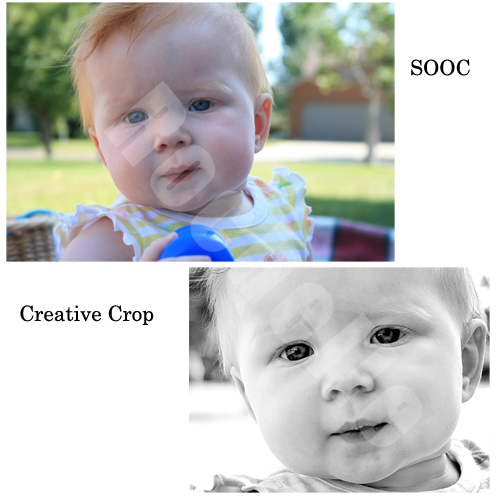 Creative Crop