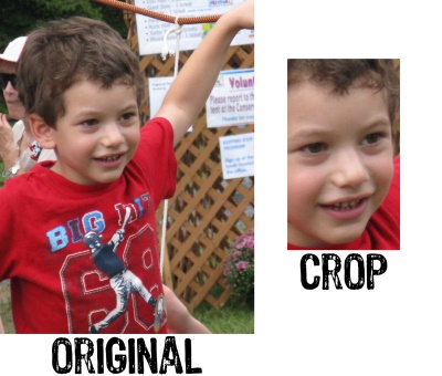 Creative Crops