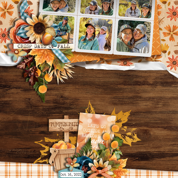 Crisp Fall Days