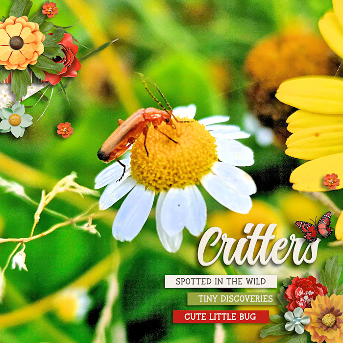 Critters