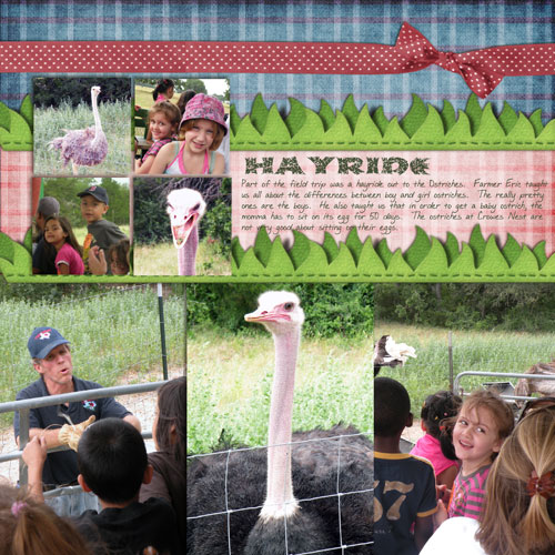 Crowes Nest Field Trip
