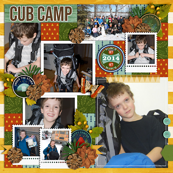 Cub Camp