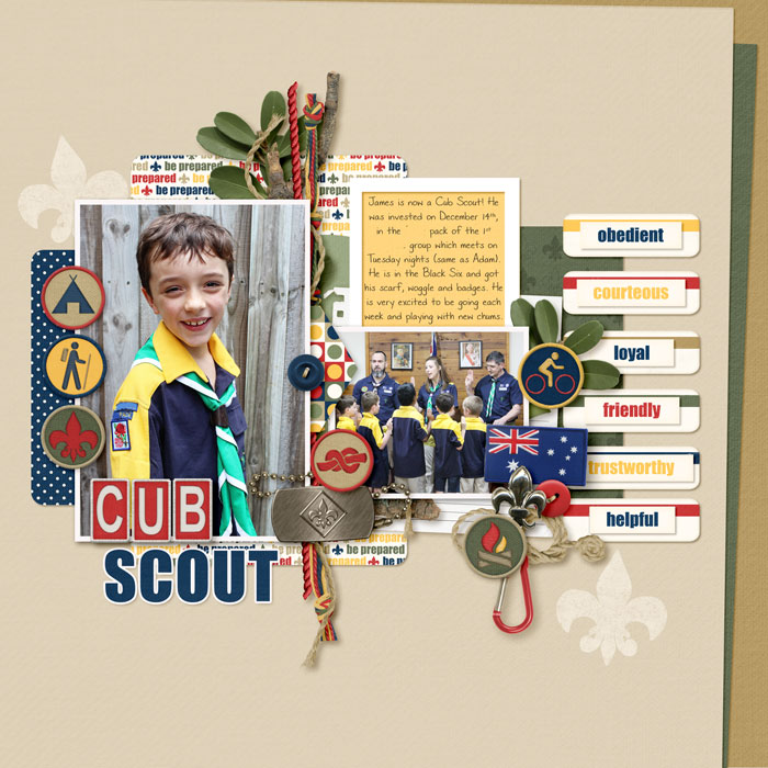 Cub Scout