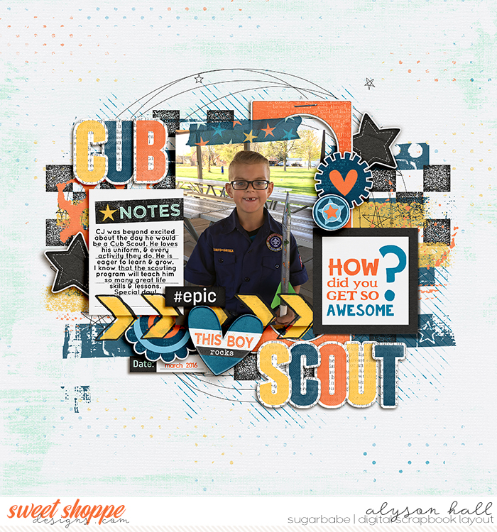 Cub Scout