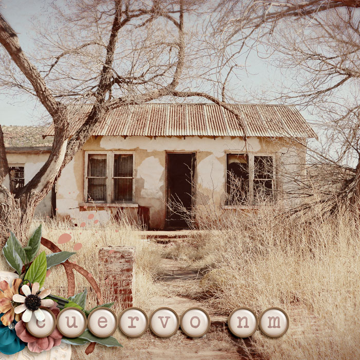Cuervo NM Ghost Town 0322