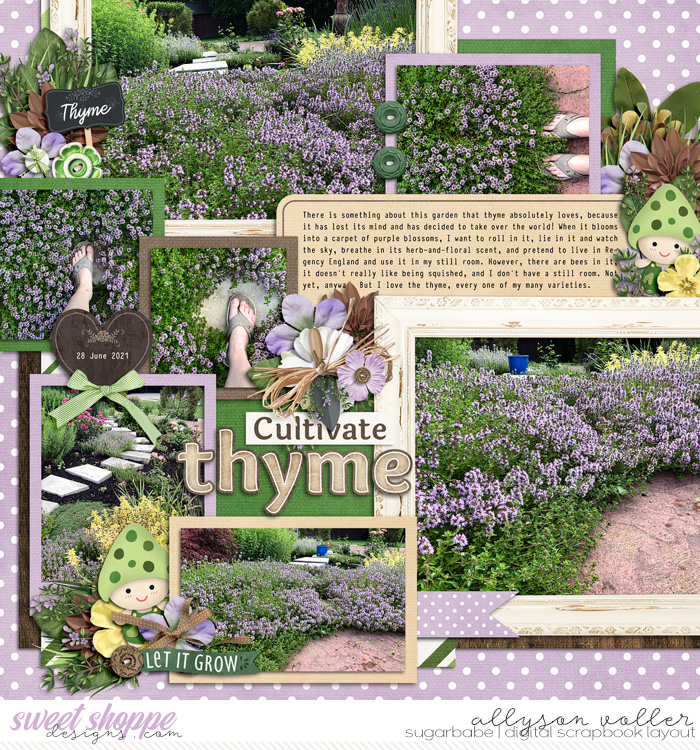 Cultivating Thyme
