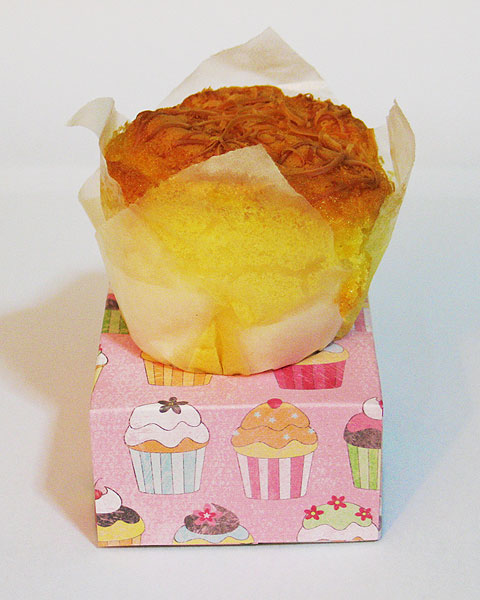 Cupcake Holder