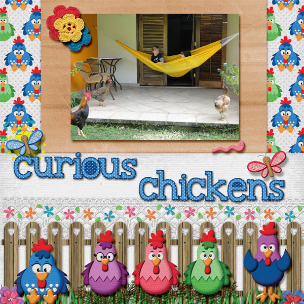 Curious chickens