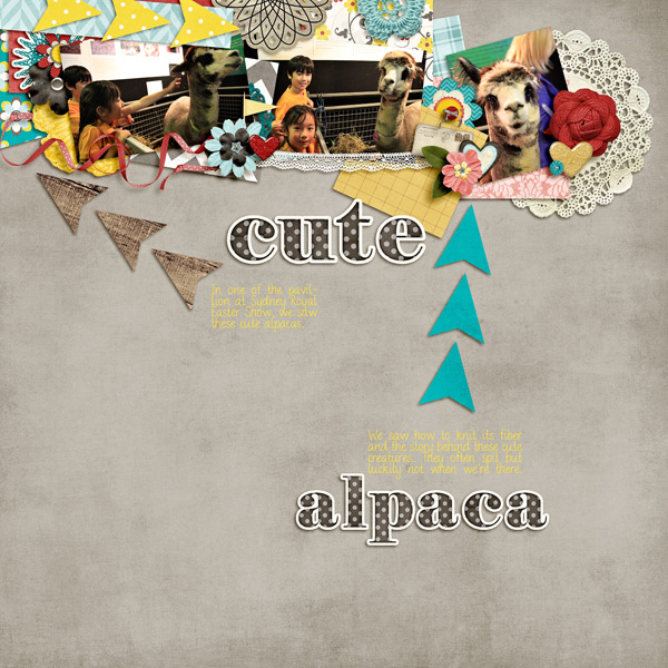cute alpaca