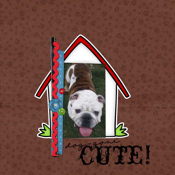 Cute Dog (Oct. 26 - Cookie)