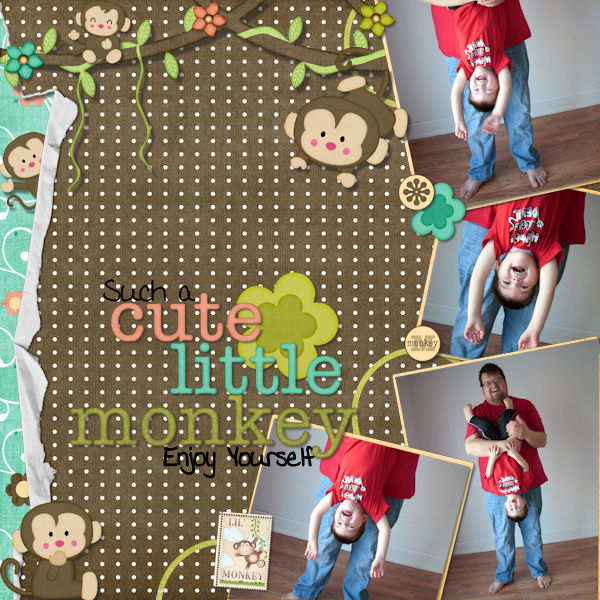 Cute Monkey
