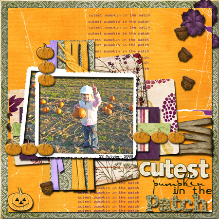 cutest little pumpkin