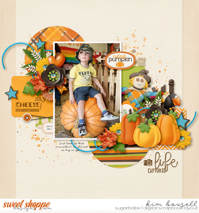 Cutest Pumpkin