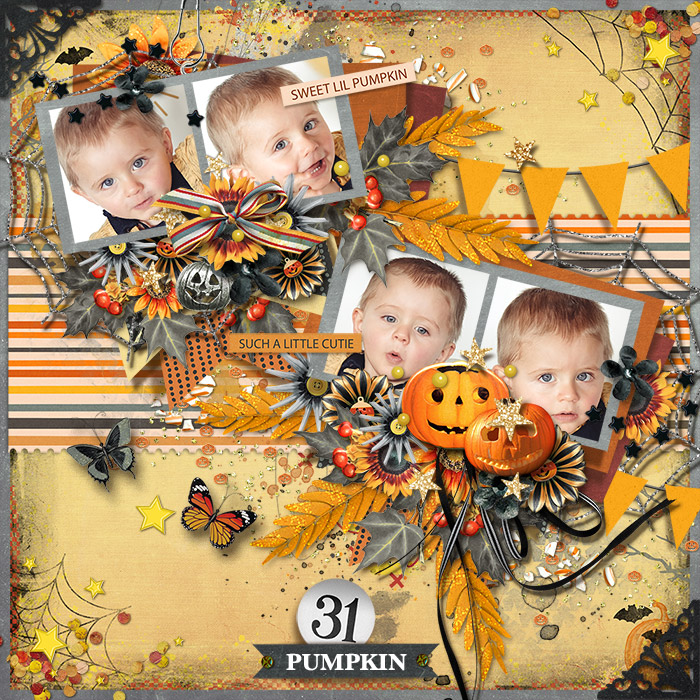 Cutest Pumpkin