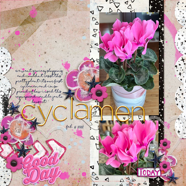 Cyclamen