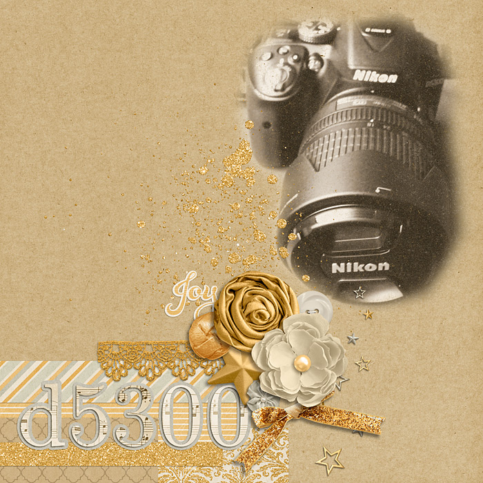 D5300