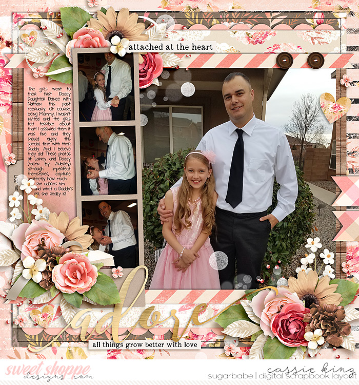 Daddy/Daughter Dance
