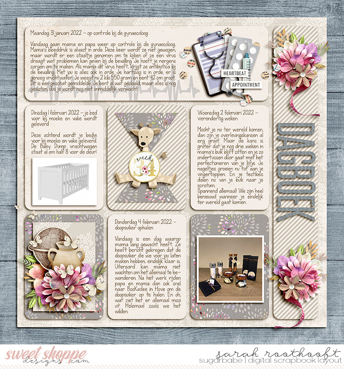 Dagboek page 43