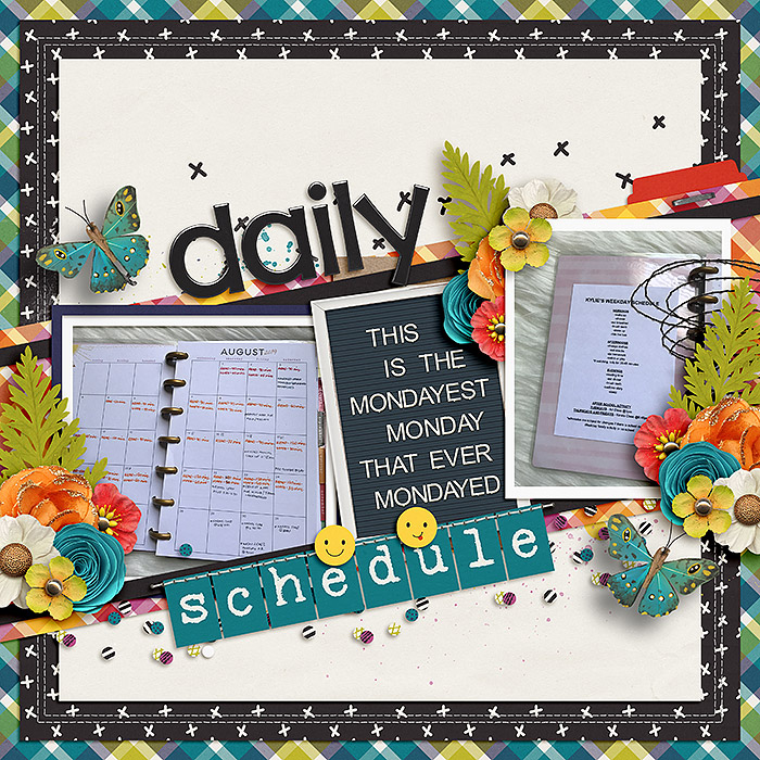 Daily Schedule