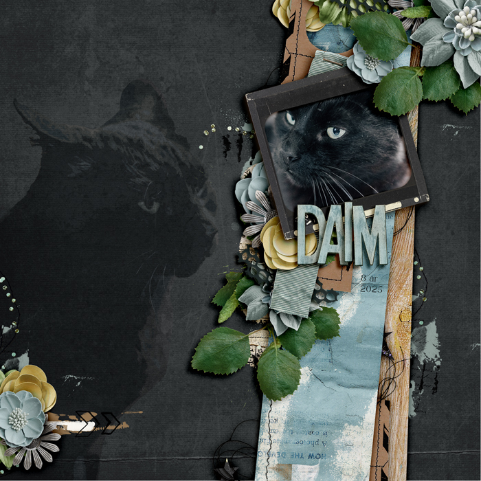 Daim