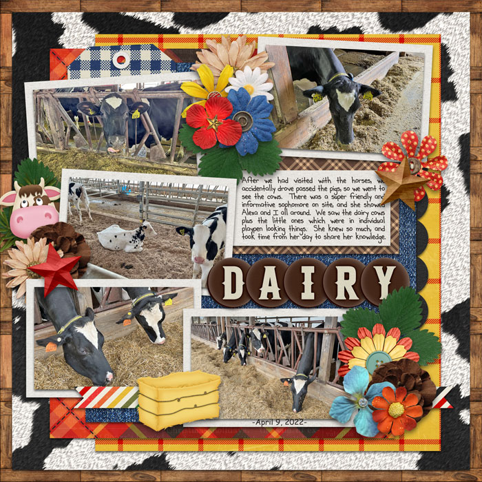 Dairy