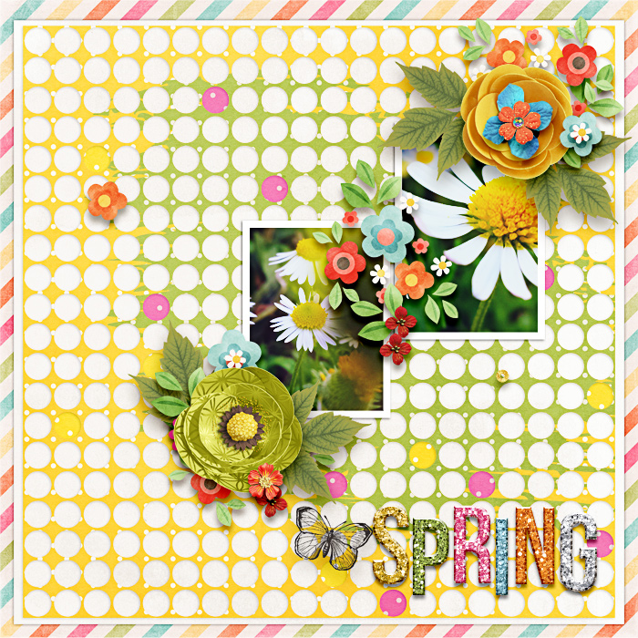 daisies