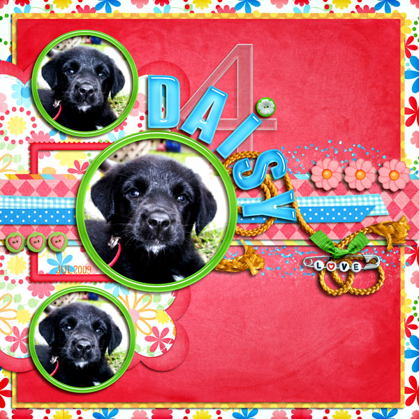 Daisy 4
