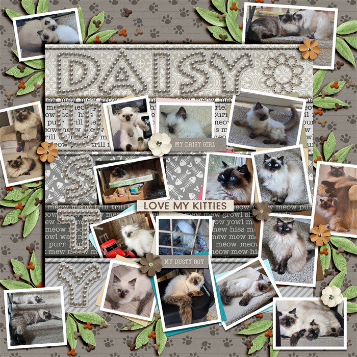 Daisy & Dusty