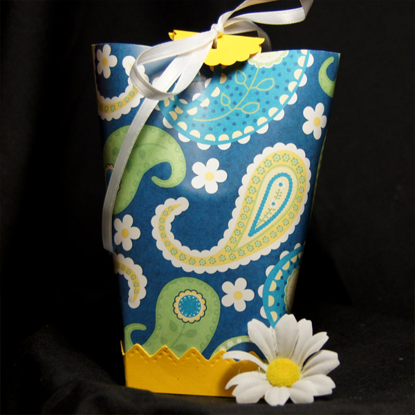 Daisy Paisley Box in a Bag