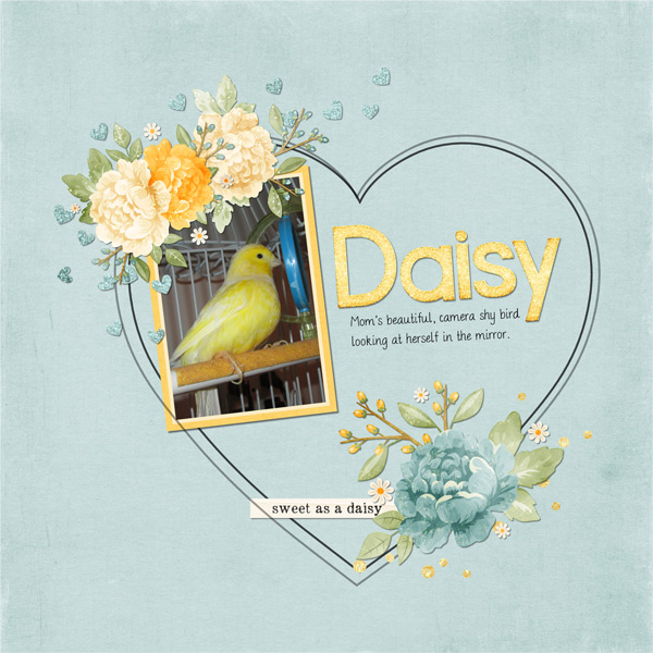 Daisy