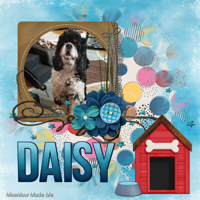 Daisy