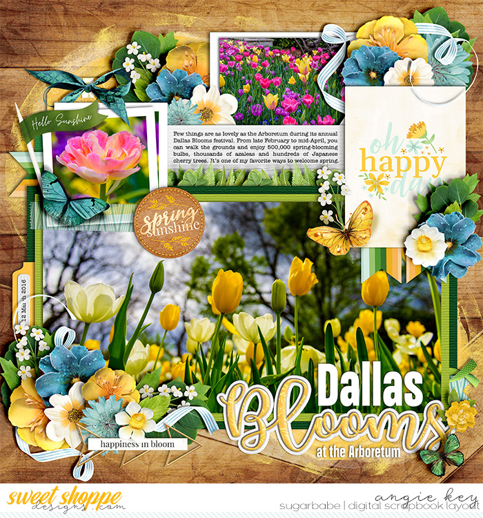 Dallas Blooms