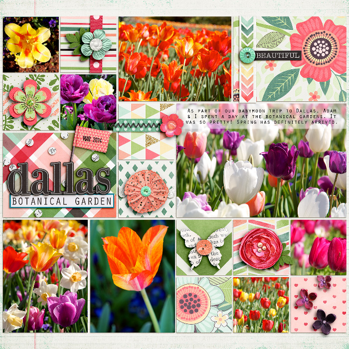 Dallas Botanical Garden