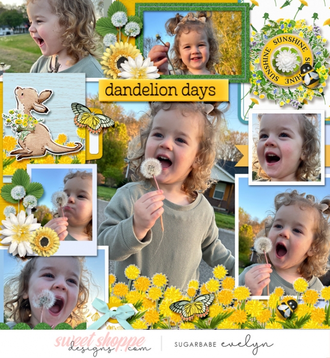 Dandelion Days