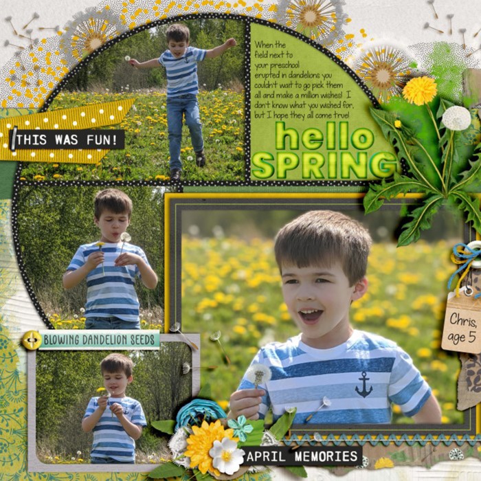 Dandelion Wishes