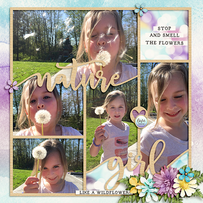 Dandelions