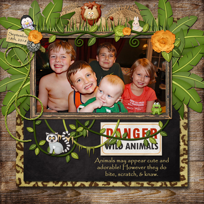 DANGER : Wild Animals