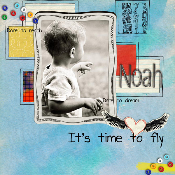 Dare to fly