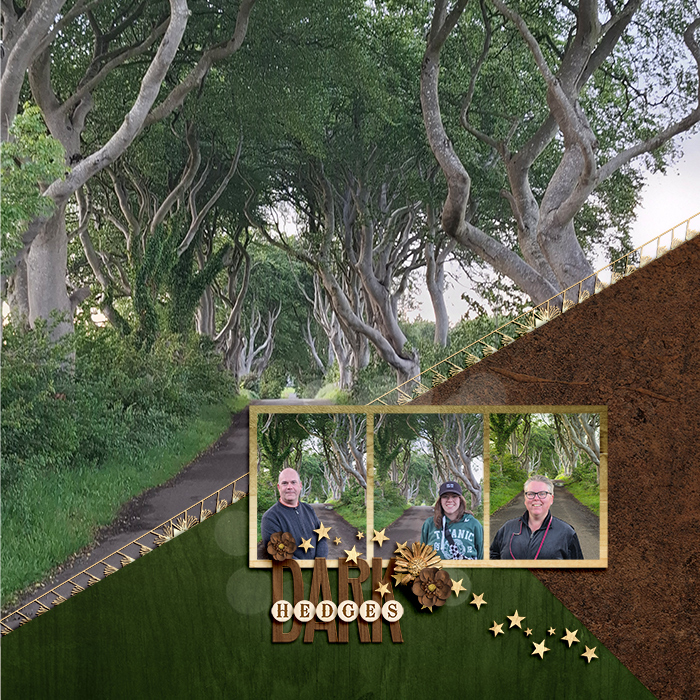 Dark Hedges