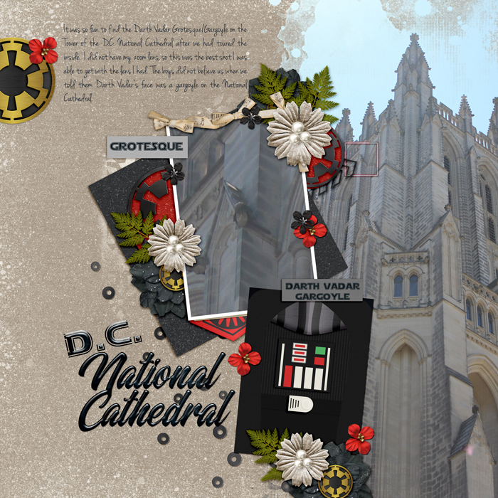 Darth Vadar at National Cathedral