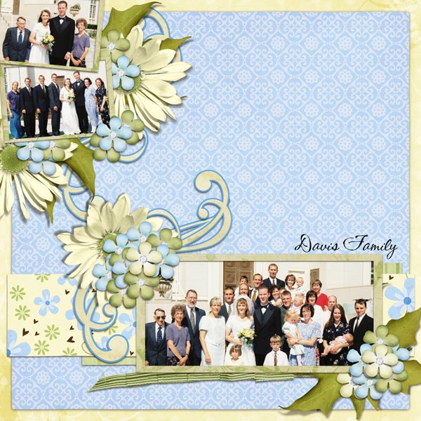 Davis Family at Our Wedding