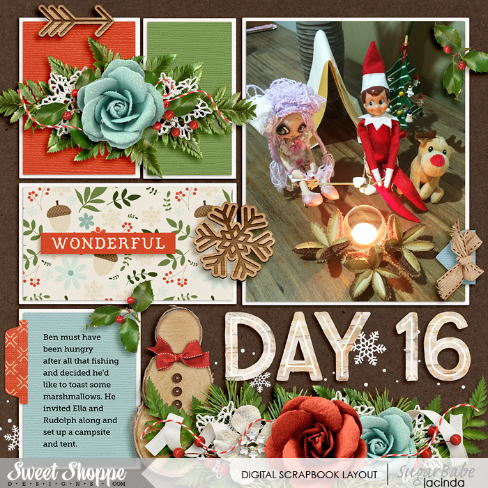 Day 16 - Elf on a shelf