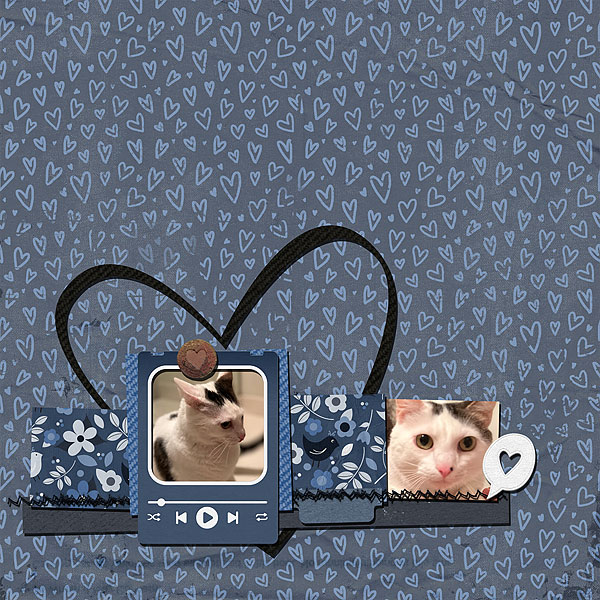 Day 20 - Tribute to Furry Friend