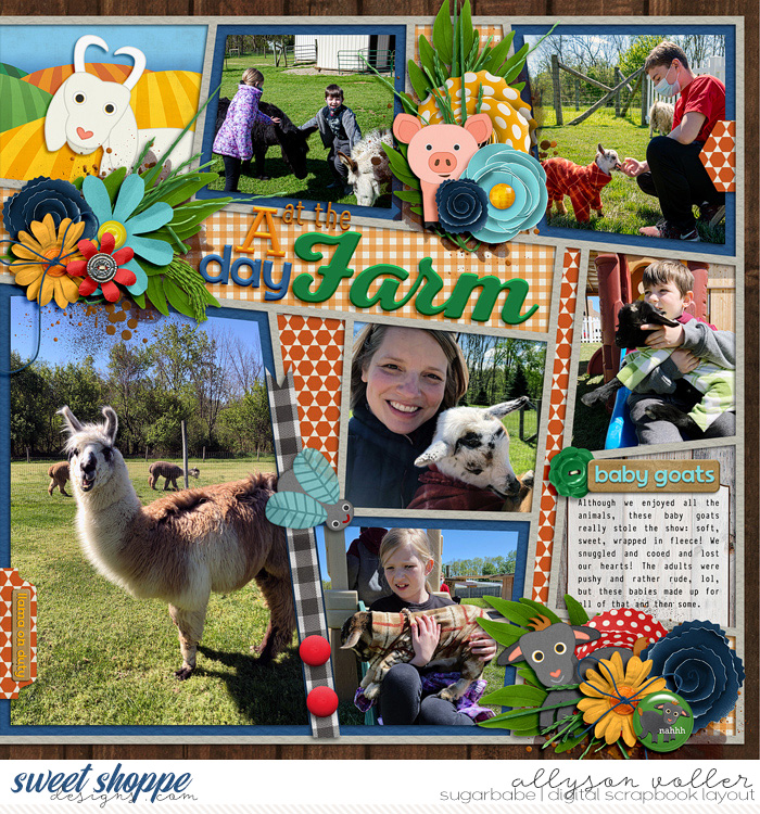 Day at the Farm right