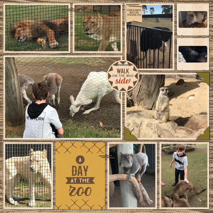Day at the Zoo