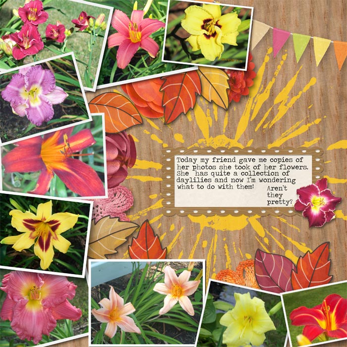 Daylilies
