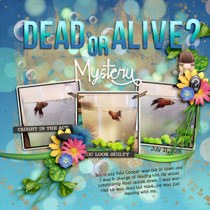 Dead or Alive?