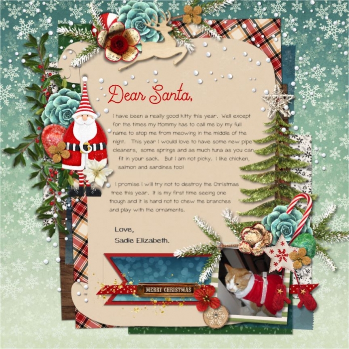 Dear Santa - Love Sadie
